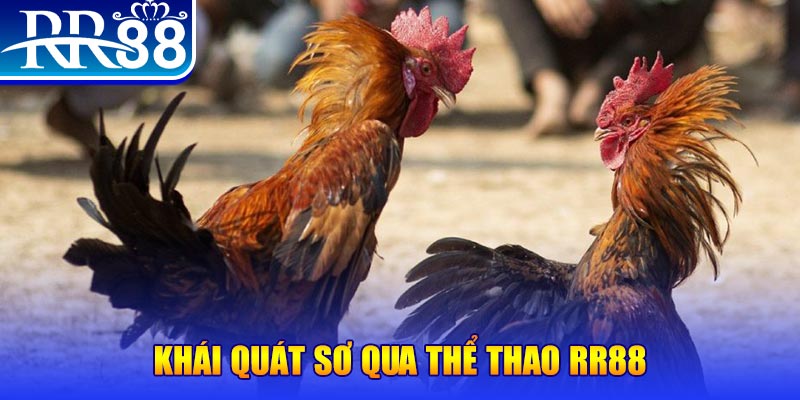 one88 baccarat bịp như thế nào