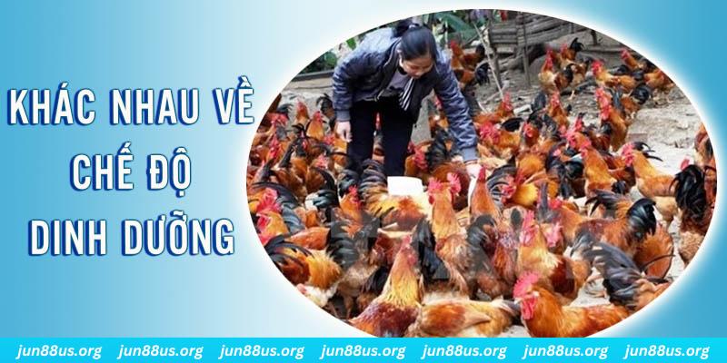 one88 xổ số thứ sáu hàng tuần
