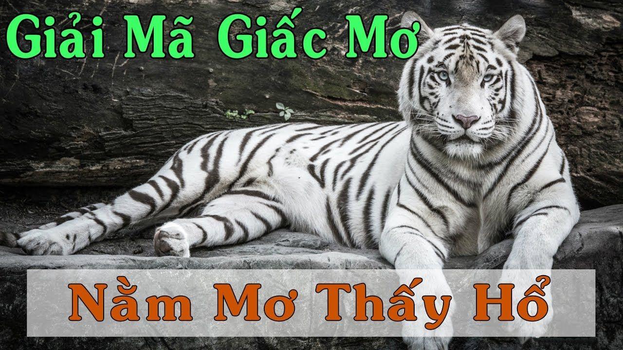 one88 xổ số miền trung