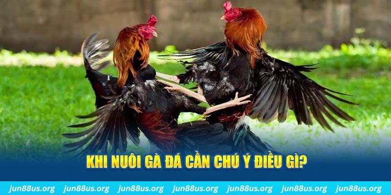 ban ca vip online