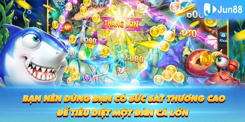 one88 ÁT CHỦ BÀI GIÀNH LẤY ZHUANG NIUNIU ( XEM 3 LÁ )