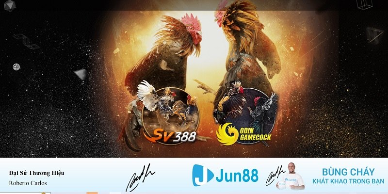 one88 xổ số miền nam hàng tuần