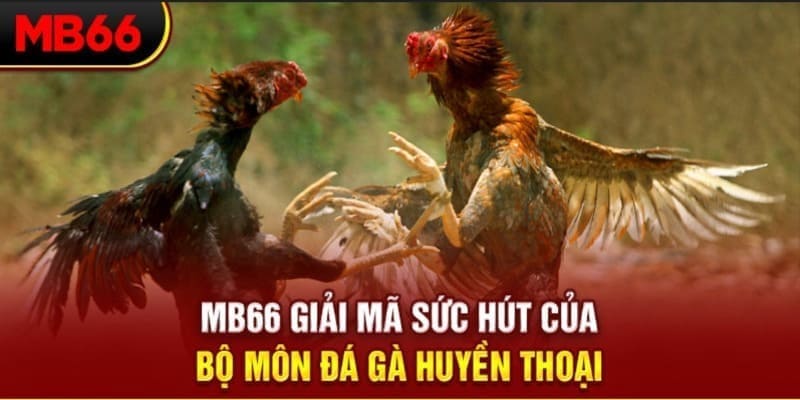 one88 long bảo trong baccarat là gì