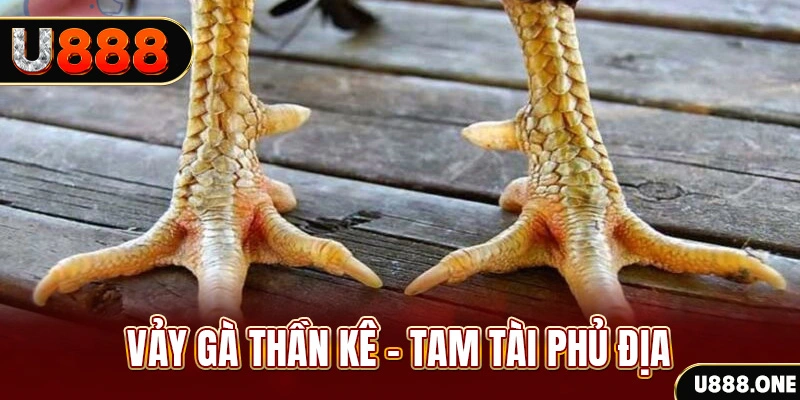 one88 xổ số 30 ngày