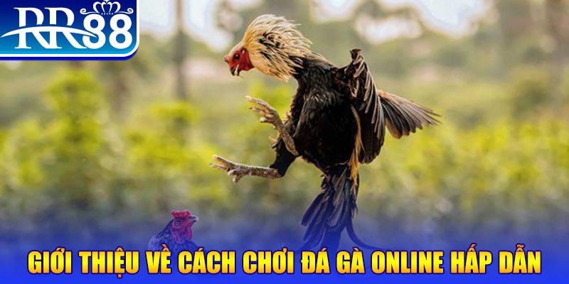 one88 nổ hũ 2 mặt là gì