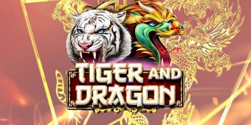 one88 cá cược tiếng anh là gì
